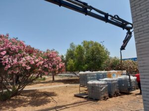 Trabajando en equipo